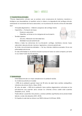 TEMA-3-ARTROSIS.pdf