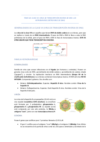 TEMA-18-CLASE-VII-VIRUS-DE-TRANSCRIPCION-INVERSA-DE-DNA-LOS-HEPADNAVIRUS-RETROVIRUS-DE-DNA.pdf