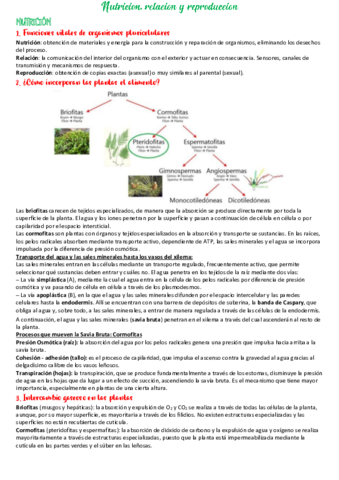 Nutricion-relacion-reproduccion.pdf