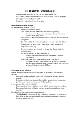 ELS-CONCEPTES-JURIDICS-BASICS.pdf