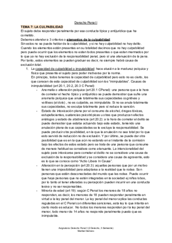 TEMA-7-D-Penal-I.pdf