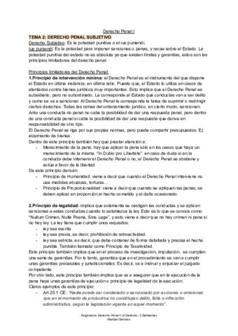 TEMA-2-D-Penal-I.pdf
