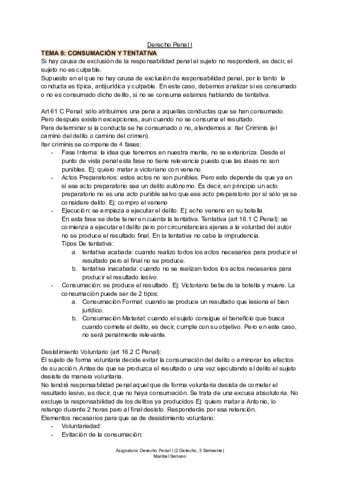 TEMA-8-D-Penal-I.pdf
