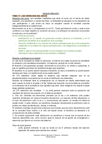 TEMA-11--D-Mercantil-I-.pdf