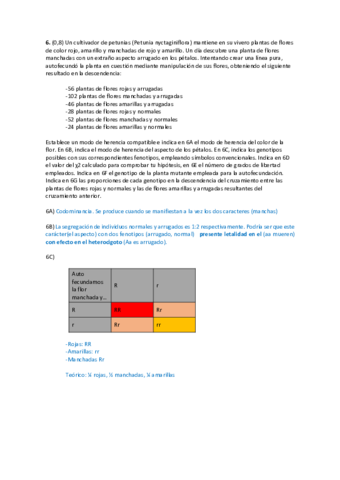EJERGenetica5i6.pdf