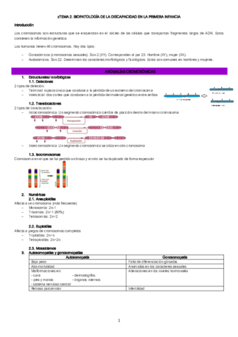 TEMA-2-bloque-2.pdf