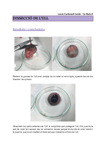 Practiques-laboratori-organs.pdf