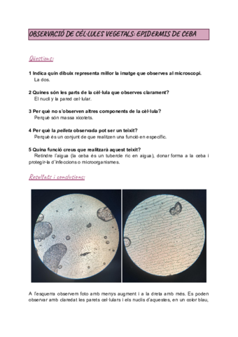 Practiques-laboratori-teixits.pdf