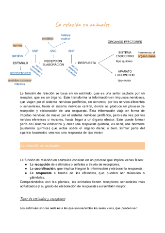 La-relacion-en-animales.pdf
