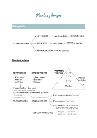 Reino-planta-y-reino-hongo.pdf