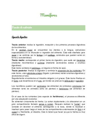 Mamiferos.pdf
