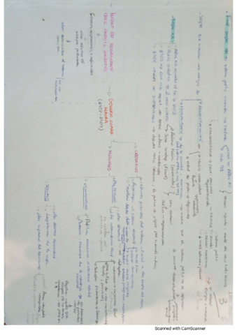 tema-10-historia-2n-bat.pdf
