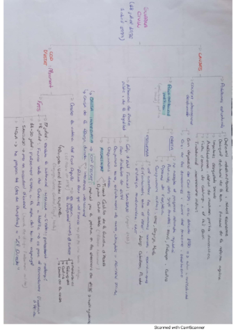 tema-13-Guerra-Civil.pdf