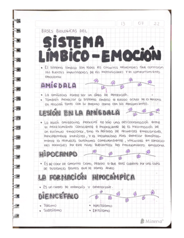 SISTEMA-LIMBICO.pdf