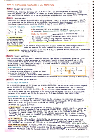 tema-4-proteinas.pdf