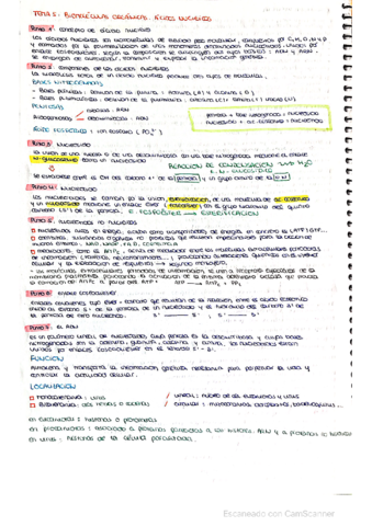 tema-5-acidos-nucleicos.pdf