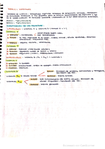 tema-6-vitaminas.pdf