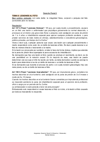 TEMA-6-Derecho-Penal-II.pdf