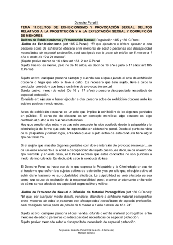 TEMA-11-Derecho-Penal-II.pdf