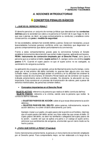 Apuntes-Derecho-Penal Parte General.pdf