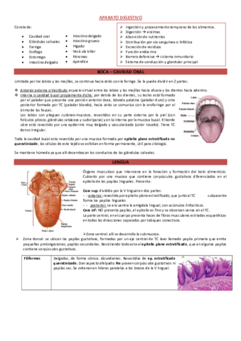 APARATO-DIGESTIVO-Y-GLANDULAS-ANEXAS.pdf