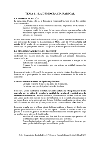 TEMA-11.pdf