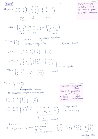 Hoja8-matrices-y-sistemas-lineales.pdf