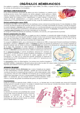 Organulos-membranosos.pdf