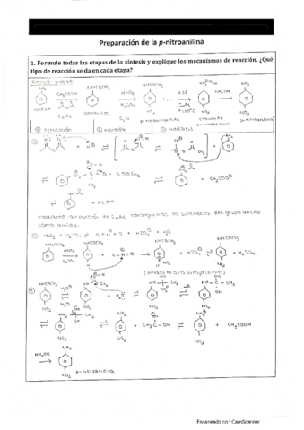 p-nitroanilina.pdf