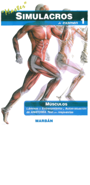 Simulacros de Examen - 01 - Musculos.pdf