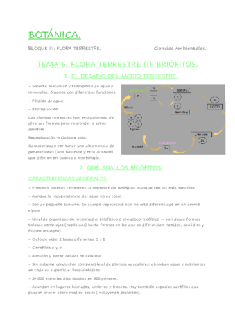 BOTANICA-TEMAS-6-8.pdf