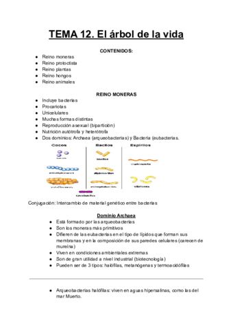 Biologia-Tema-12.pdf