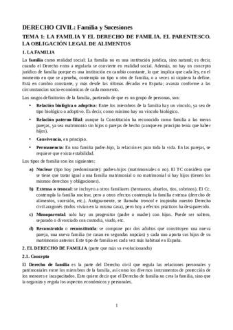 Derecho-Civil-Familia.pdf