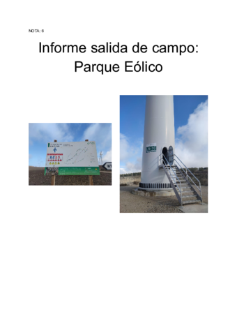 Informe-Parque-Eolico.pdf