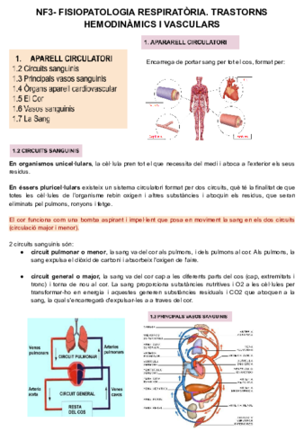 NF3-fisiopato.pdf