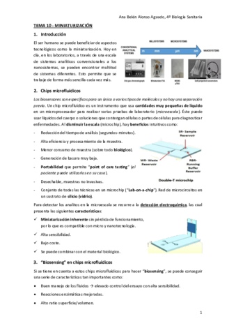 TEMA-10-MINIATURIZACION.pdf