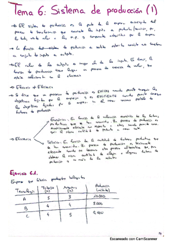 T6-Sistema-de-produccion.pdf
