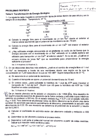 tema-5-problemas.pdf
