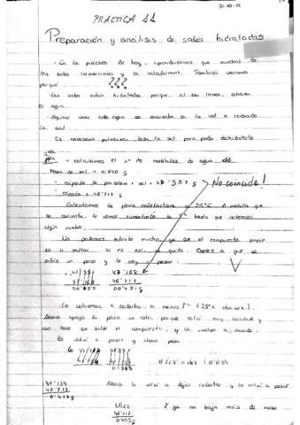 Laboratorio-quimicainorganica.pdf