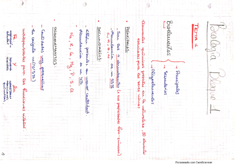 Tema1-Bioquimica-y-celula.pdf