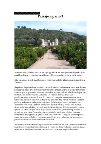 Comentario-paisaje-agrario.pdf