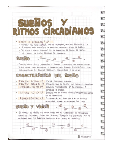 RITMOS-CIRCADIANOS.pdf