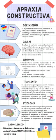 apraxia-constructiva.pdf