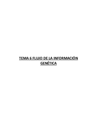 TEMA-6-.pdf