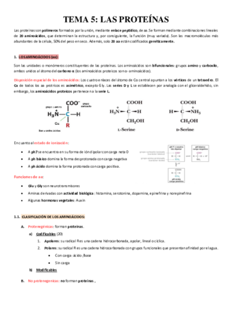 TEMA-5.pdf
