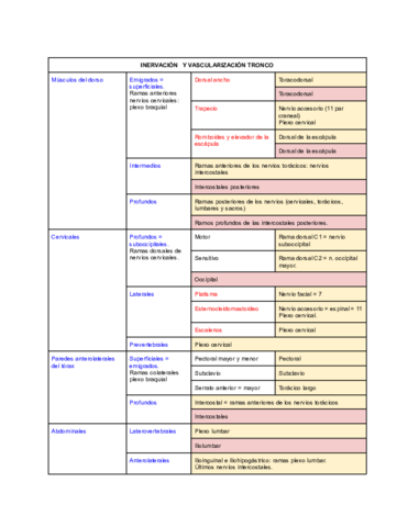 Tabla vascularización e inervación.pdf