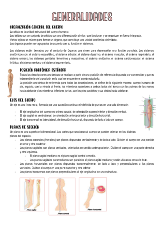 1-Generalidades-Anatomia.pdf