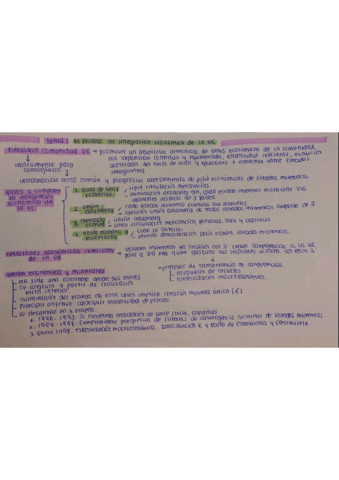 ESQUEMA-TEMA-1-POLITICAS-Y-LIBERTADES-DE-UE.pdf