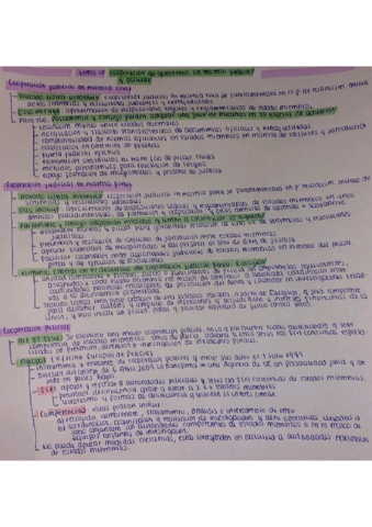 ESQUEMA-TEMA-10-POLITICAS-Y-LIBERTADES-DE-LA-UE.pdf