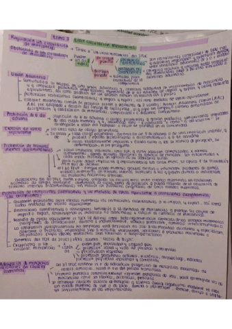 ESQUEMA-TEMA-3-POLITICAS-Y-LIBERTADES-DE-LA-UE.pdf
